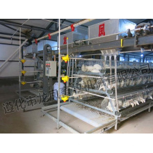 Hot-DIP Galvanized Layer Cage Certificate of ISO9001